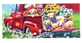 Americana Dogs Sassafras Switch Mat