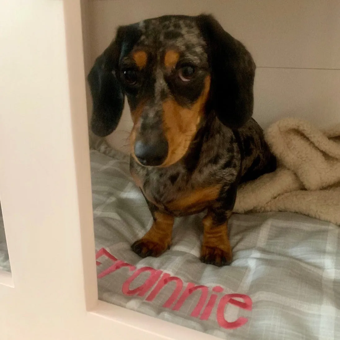 Custom Dog Training Mat in buffalo plaid with Personalization