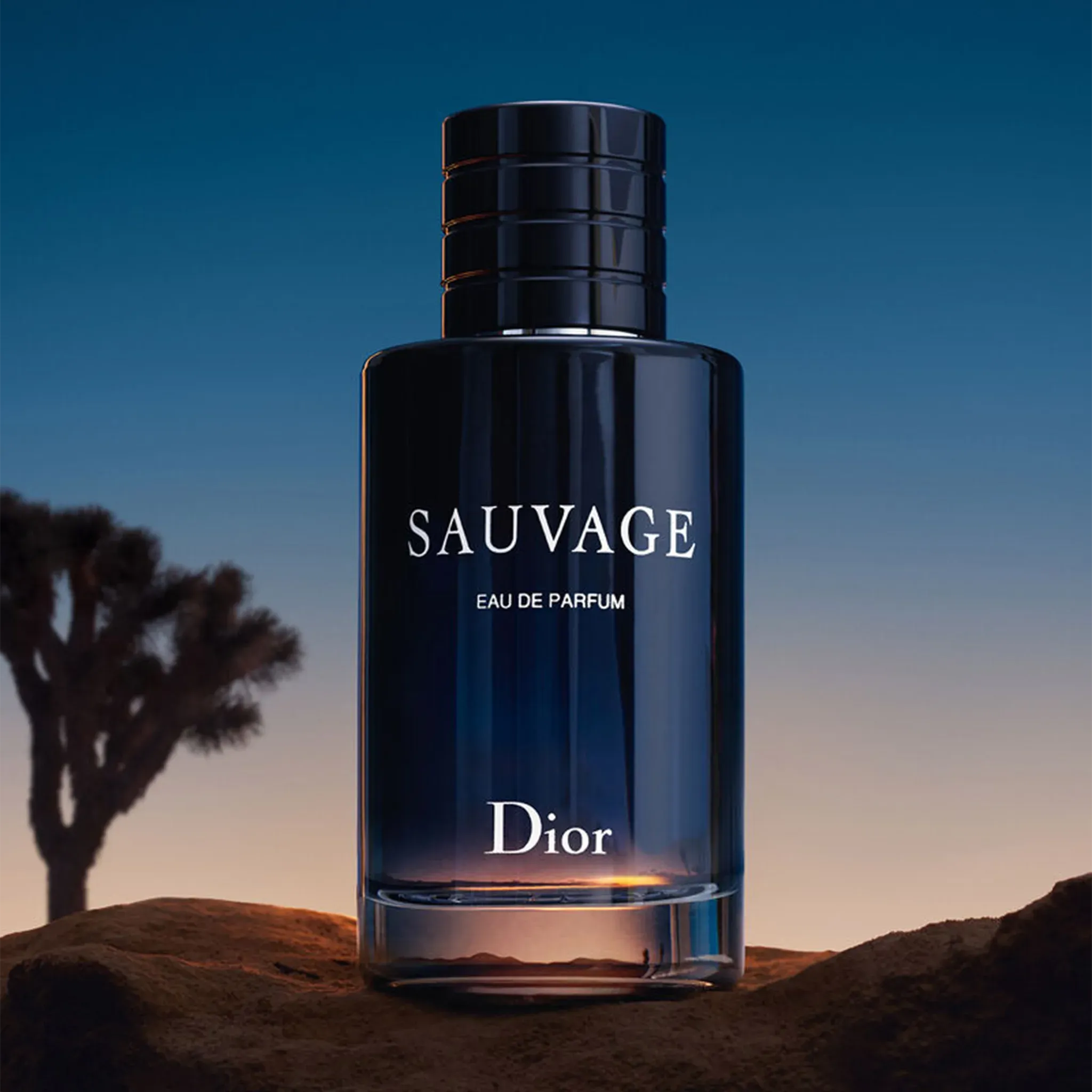 Dior Sauvage Eau De Parfum 60ml