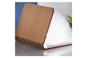 GingKo - Large Maple Book Light