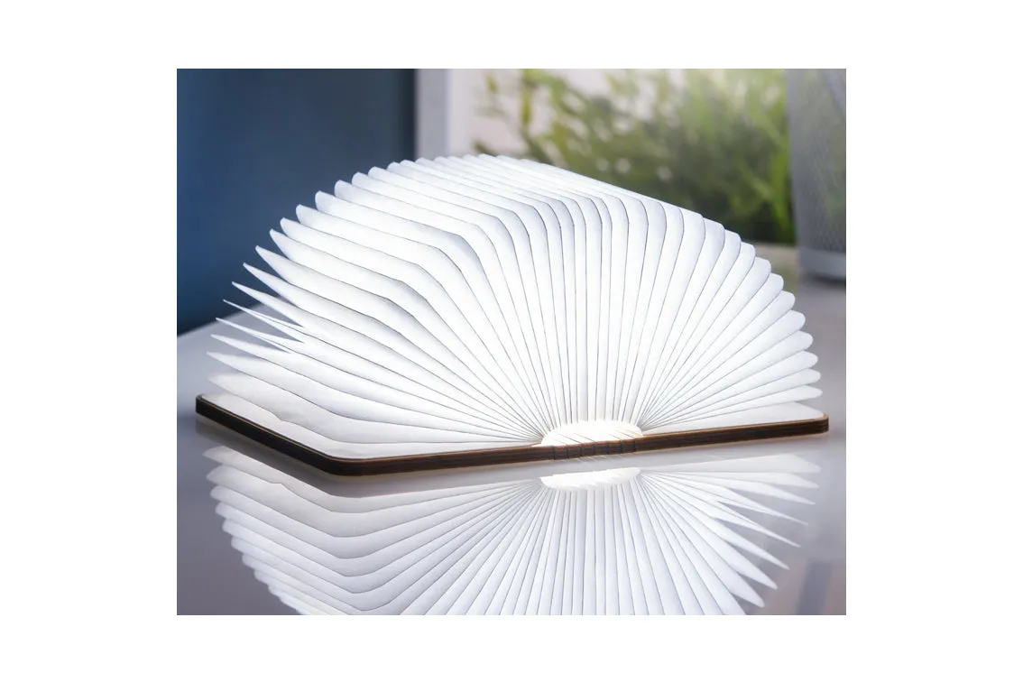 GingKo - Large Maple Book Light