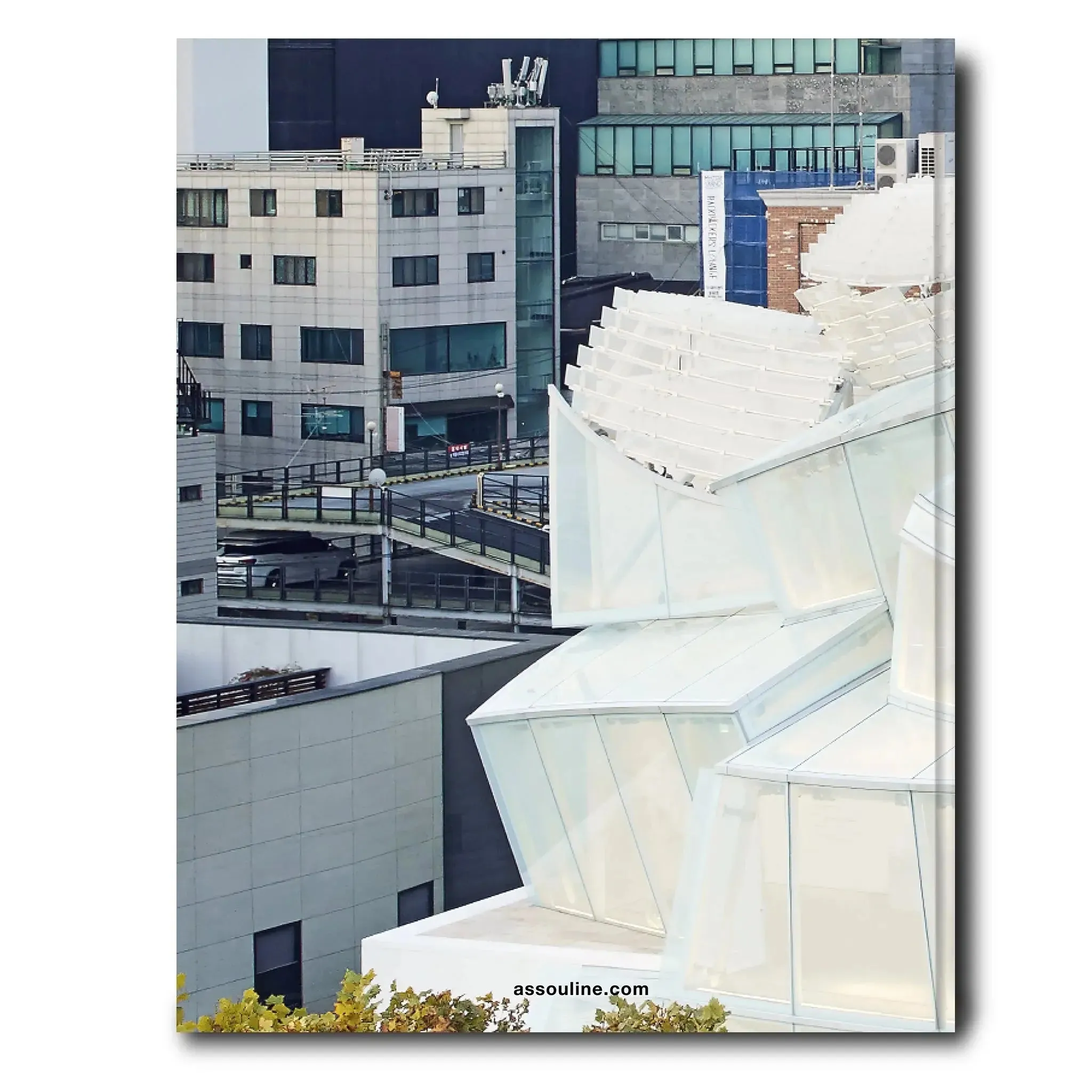 Louis Vuitton Skin: Architecture of Luxury (Seoul Edition)