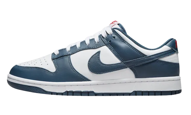 Nike Dunk Low Valerian Blue Men's